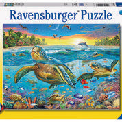 Swim With Sea Turtles