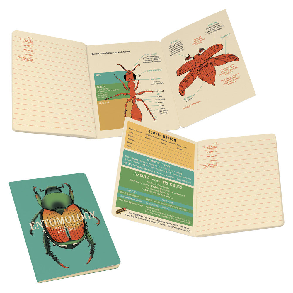 Entomology Notebook