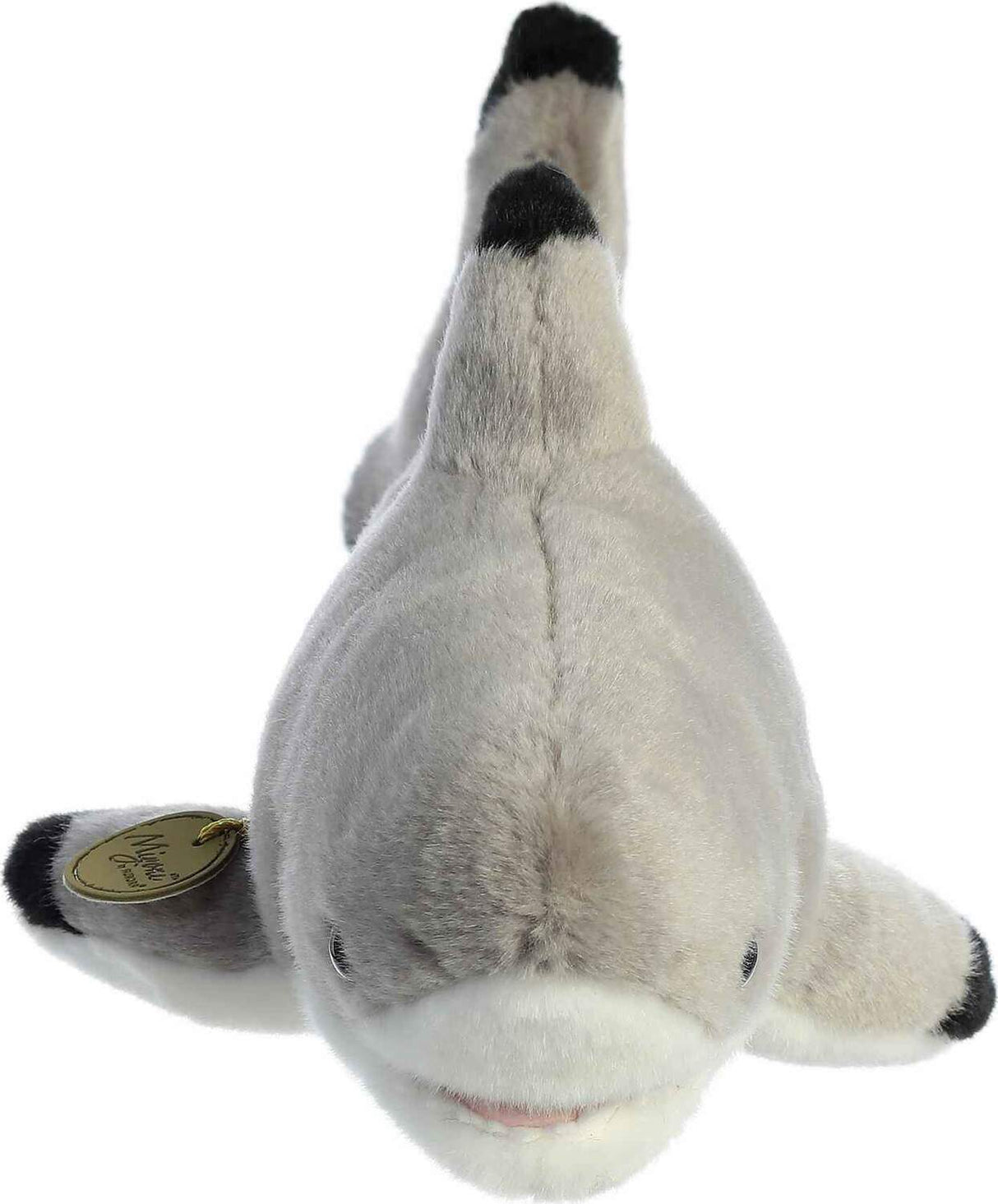 Aurora Miyoni 12.5" Blacktip Shark