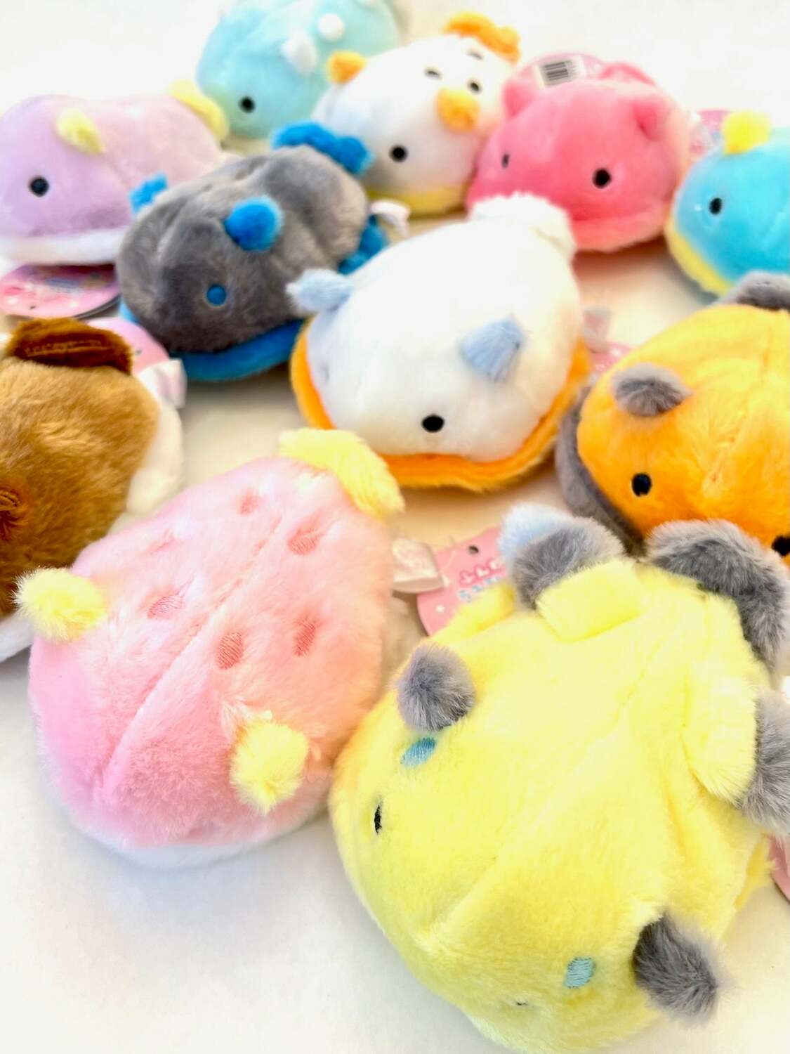 Mini Sea Slug Fluffy Plush (assorted)