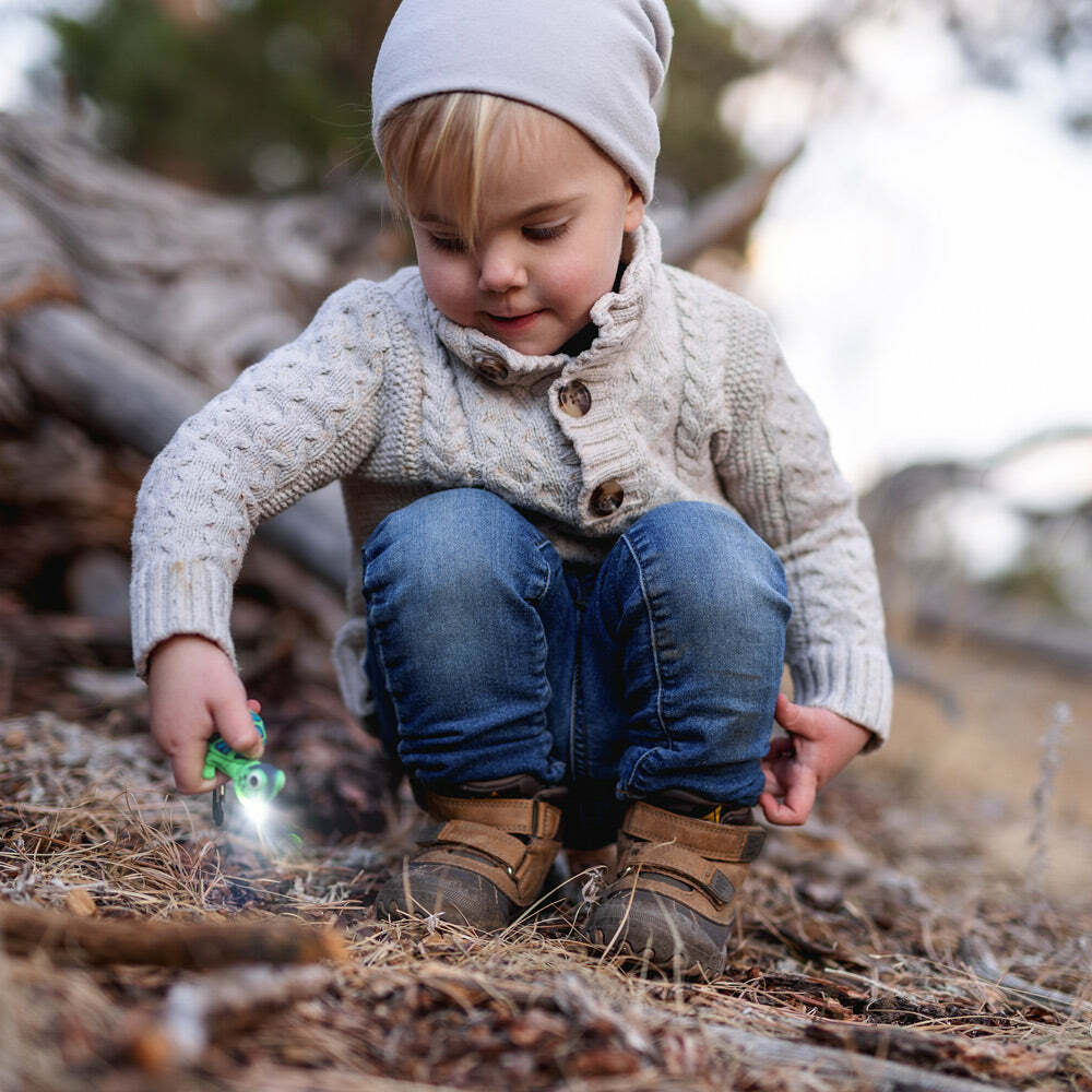 Turtle WildLight (Green)