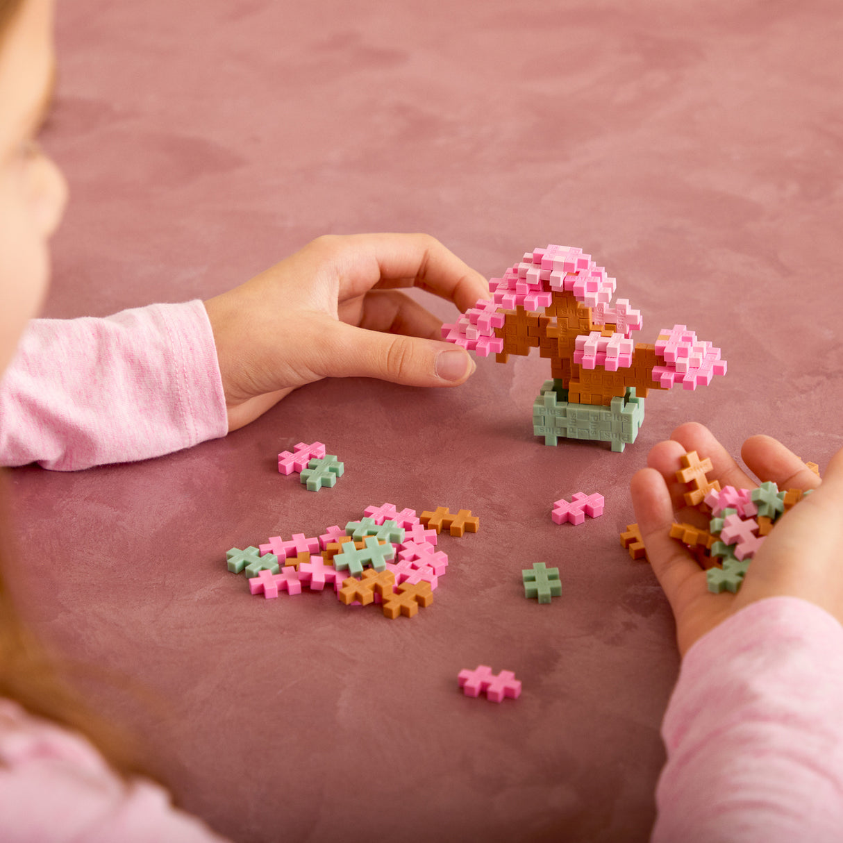 Plant Pack - Blissful Bonsai