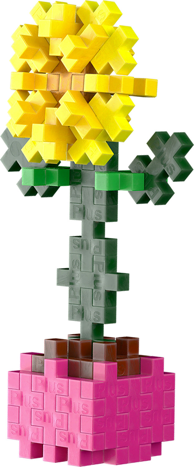 Plant Pack - Sociable Sunflower