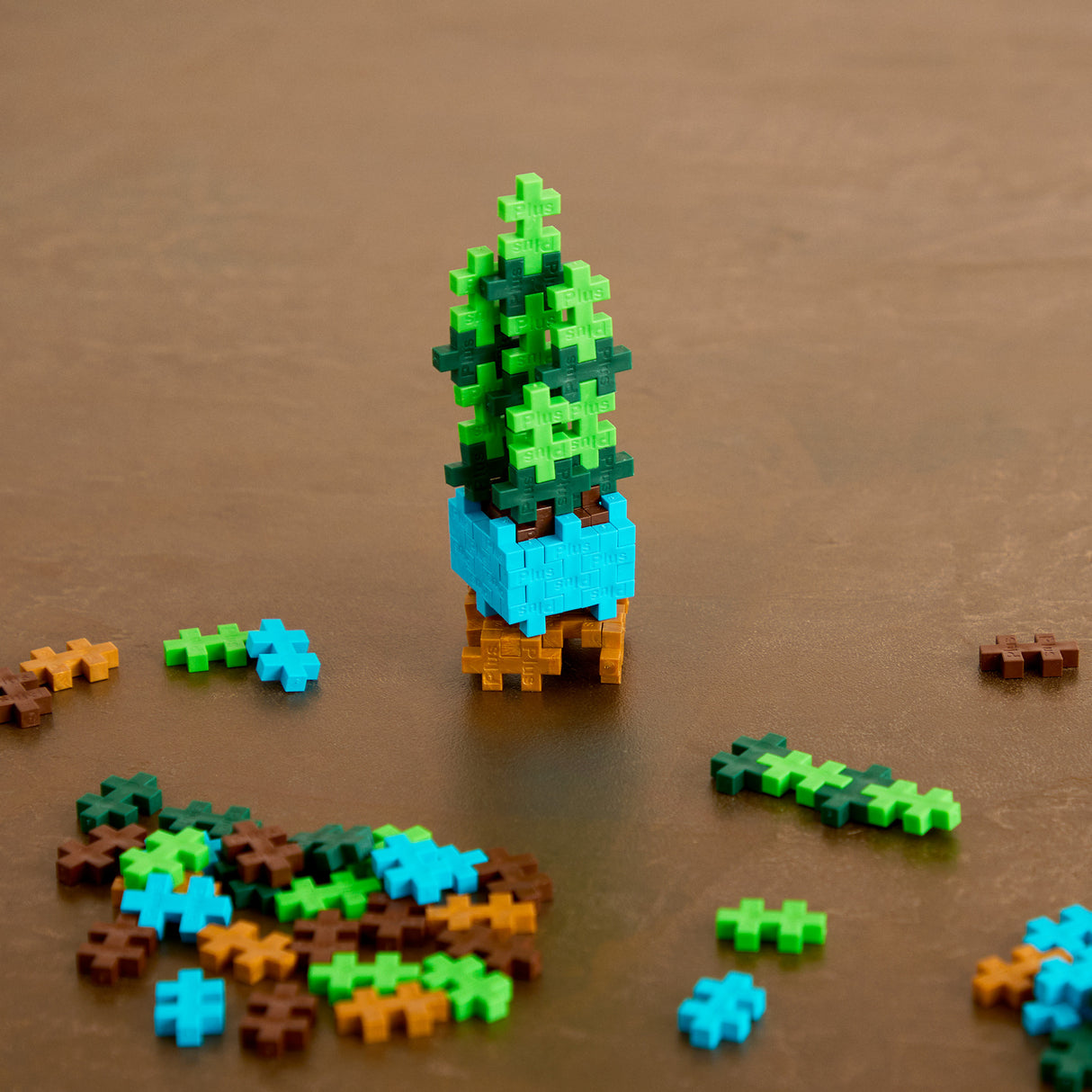 Plant Pack - Sassy Snake Plant