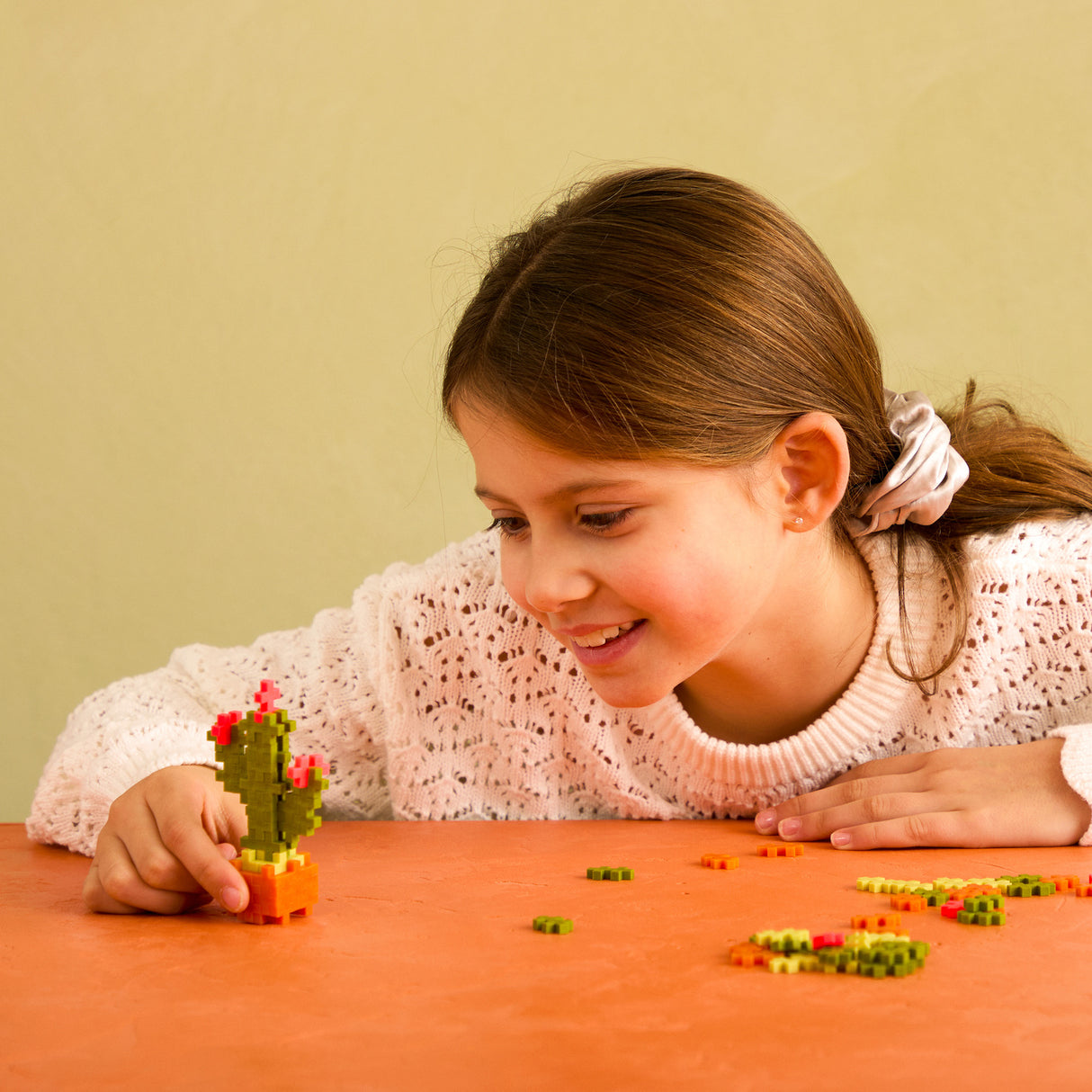 Plant Pack - Calm Cactus