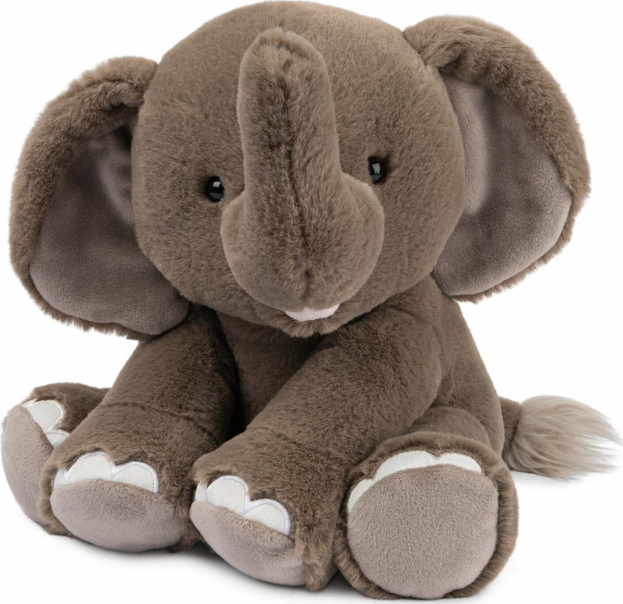 Chai The Elephant, 10 In