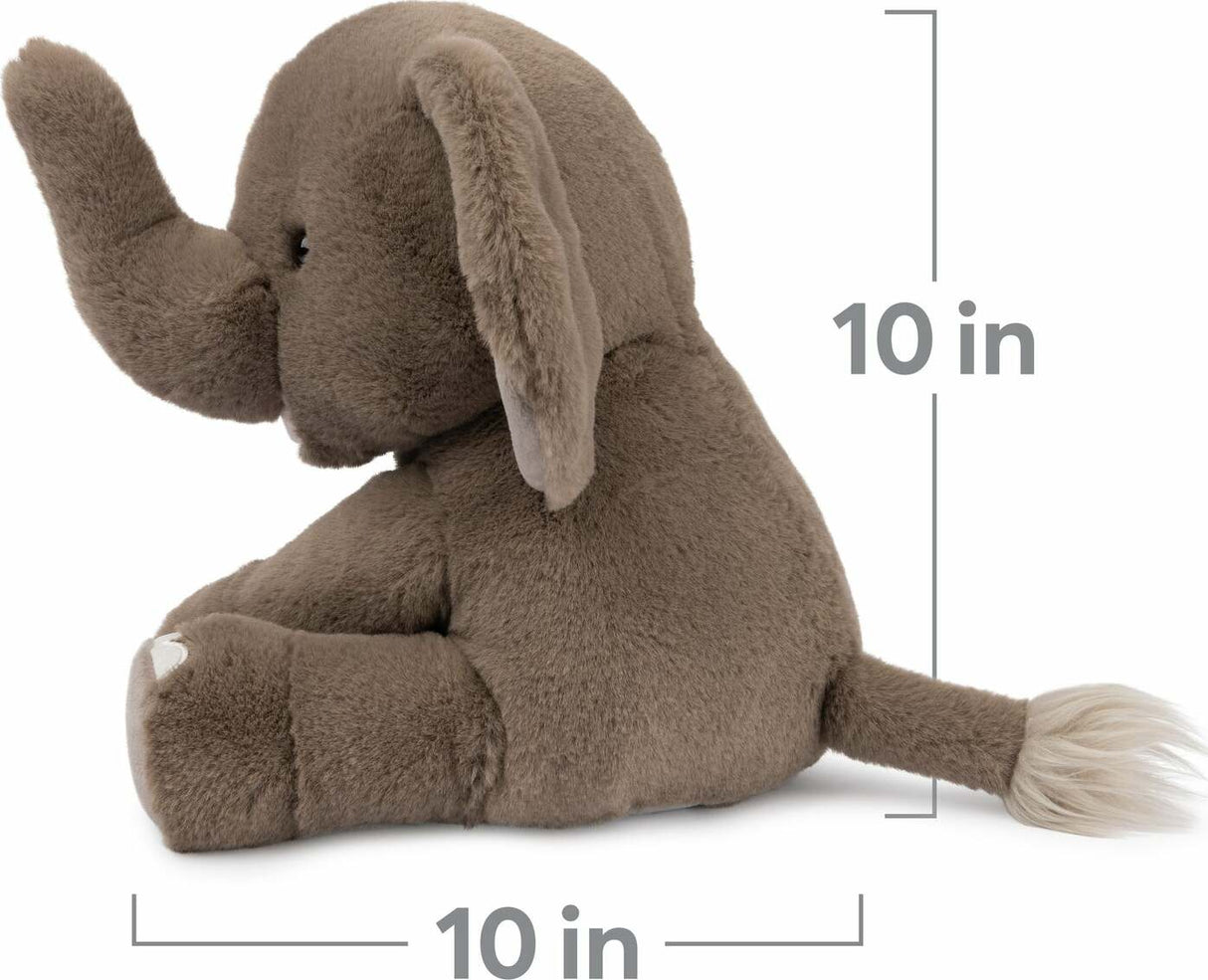 Chai The Elephant, 10 In