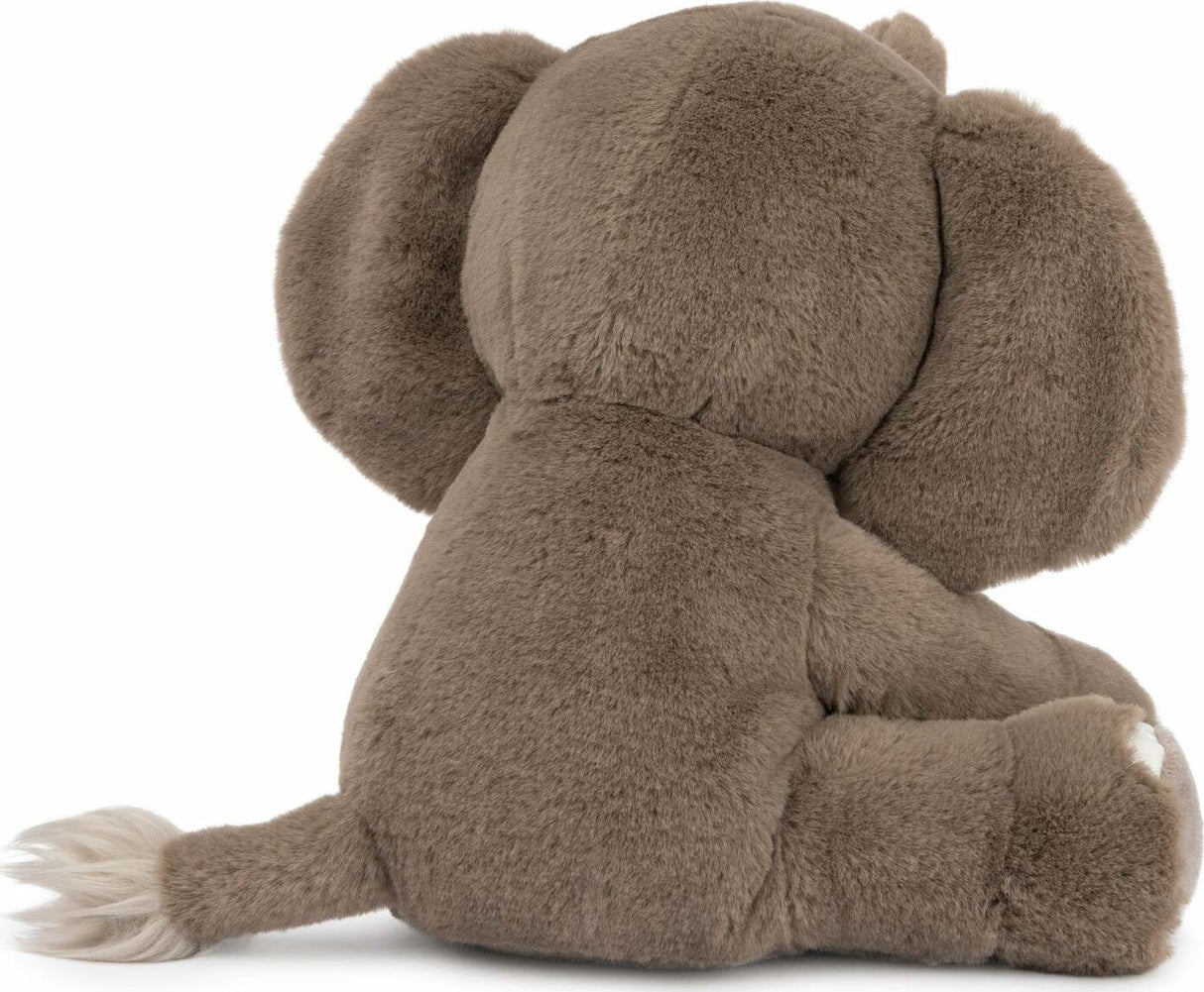 Chai The Elephant, 10 In