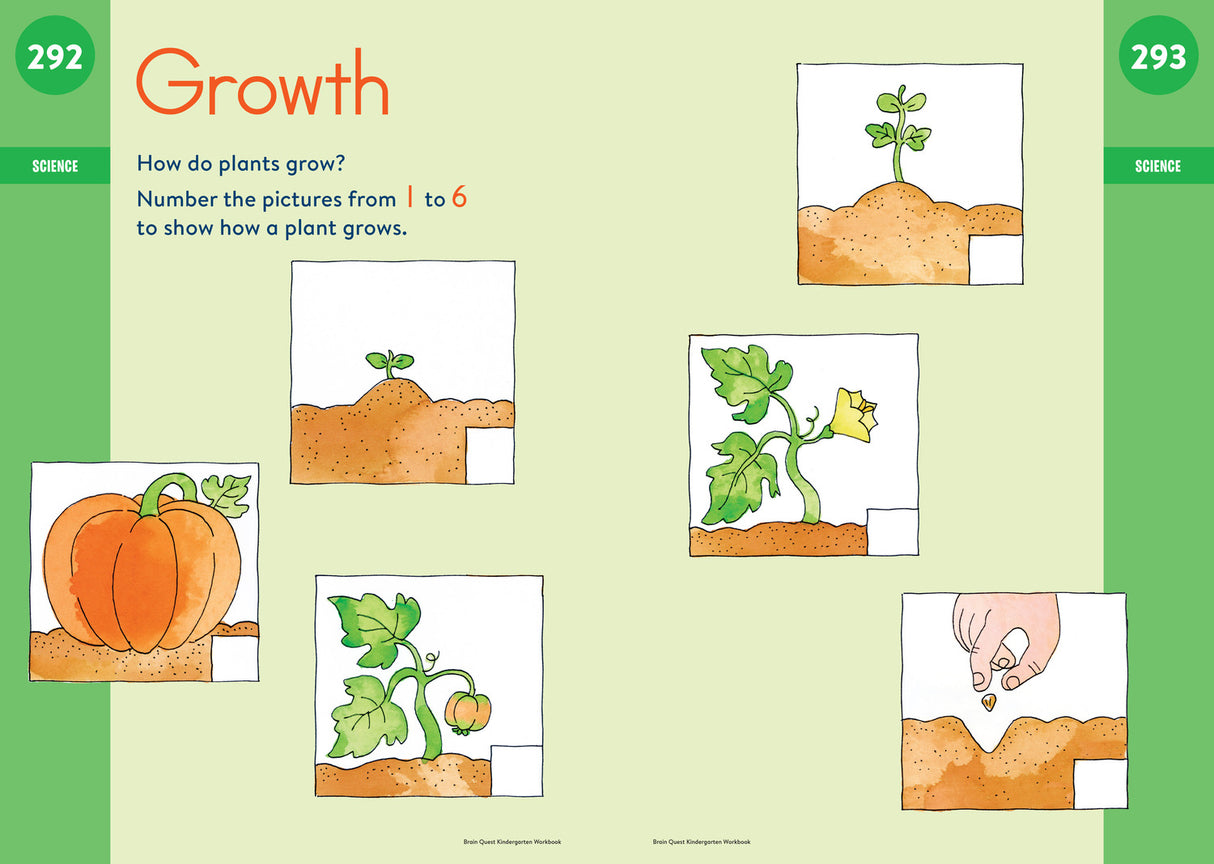 Brain Quest Workbook: Kindergarten Revised Edition