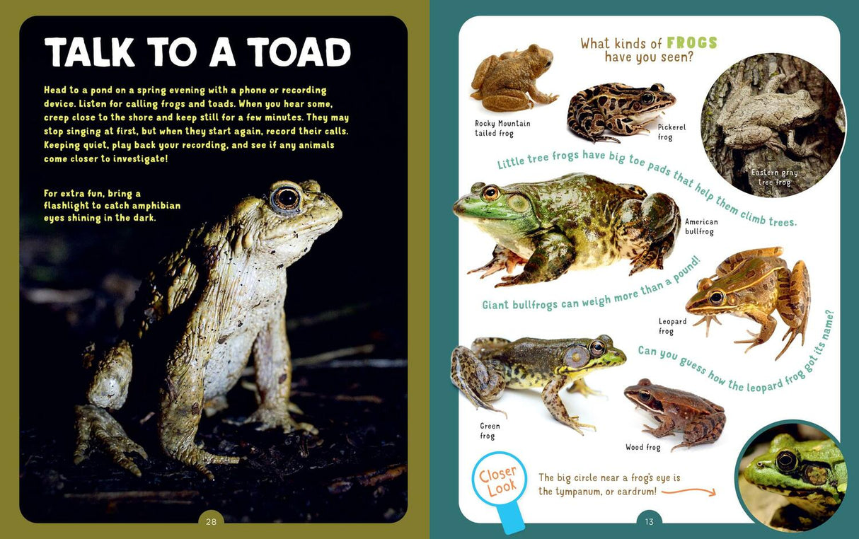 Backpack Explorer: Spotting Snakes and Frogs, and Other Reptiles and Amphibians: What Will You Find?