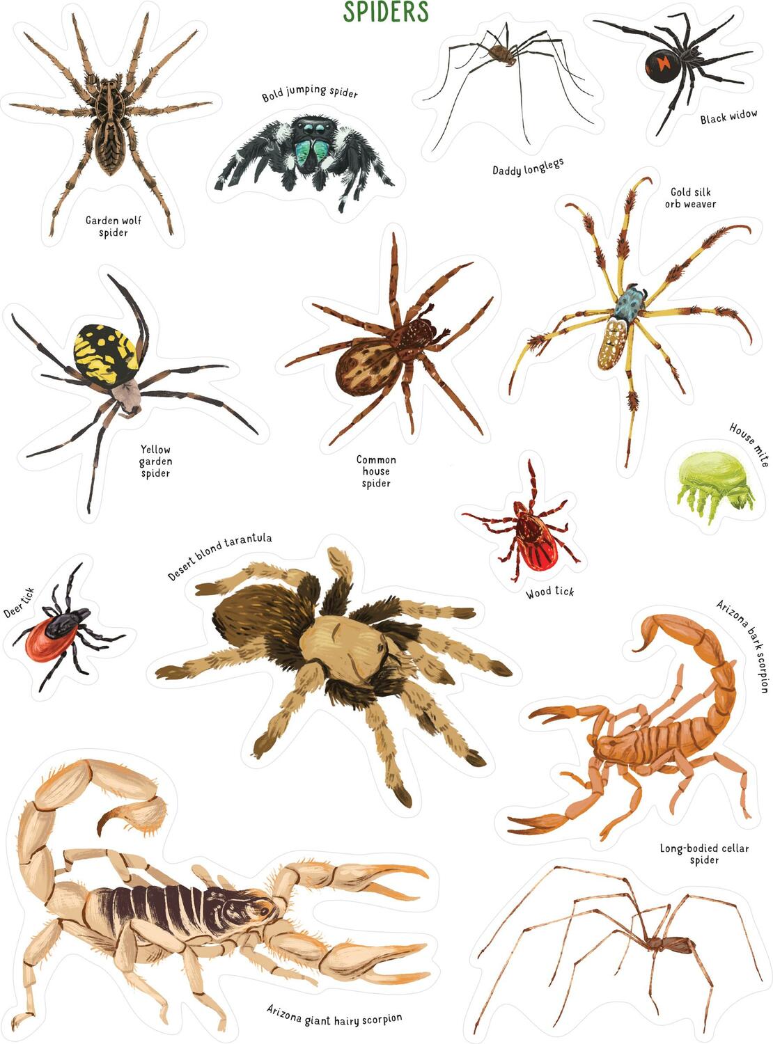 Backpack Explorer Stickers: Bug Adventure: 250 Stickers plus Play & Learn Activities