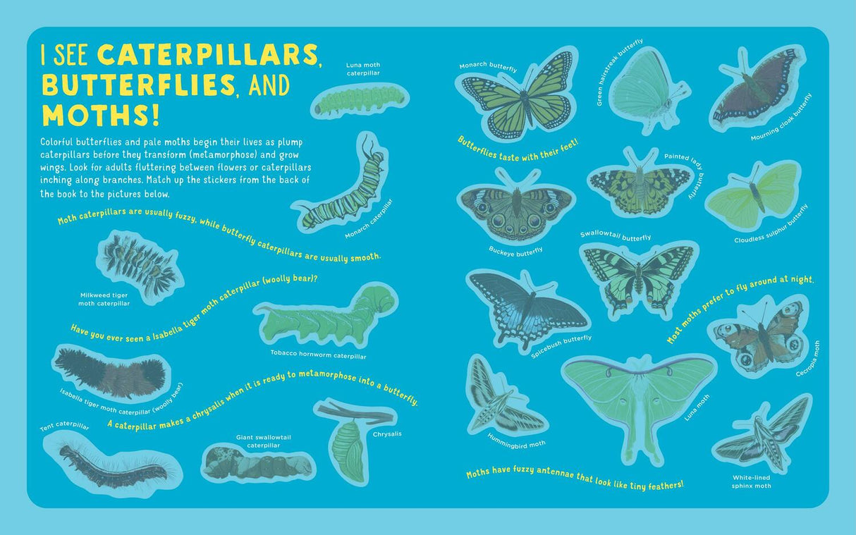 Backpack Explorer Stickers: Bug Adventure: 250 Stickers plus Play & Learn Activities