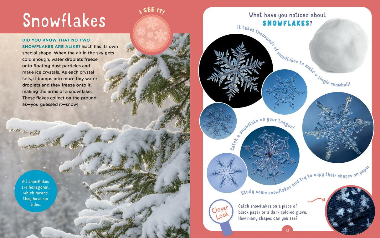 Backpack Explorer: Winter Walk: What Will You Find?