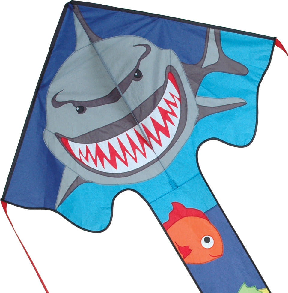 Large Easy Flyer Kite - Crusher