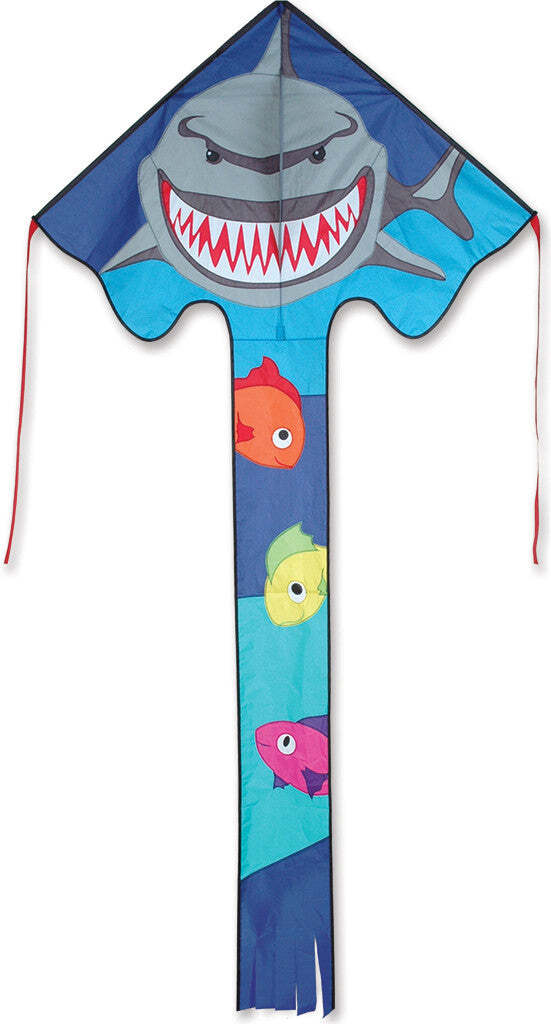 Large Easy Flyer Kite - Crusher