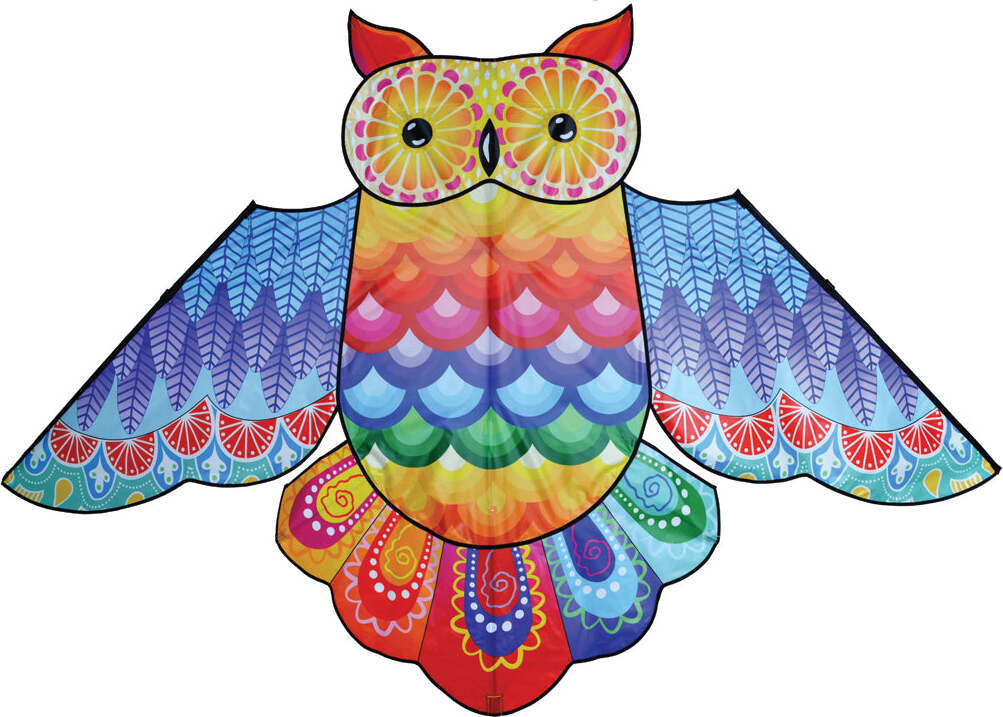 86 in. Rainbow Owl Kite
