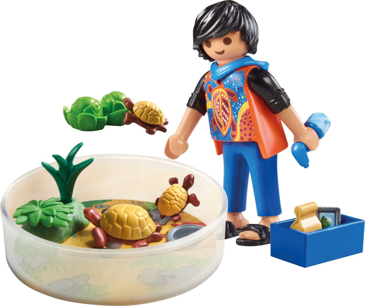 Turtle Terrarium