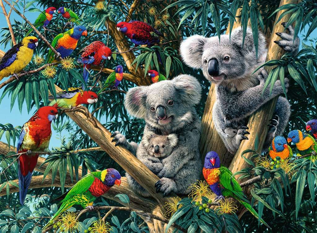 Koalas in a Tree 500 Piece Puzzle