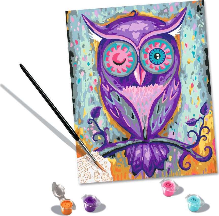 Dreaming Owl 10x12