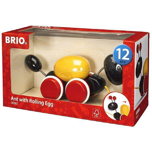 Ant with Rolling Egg
