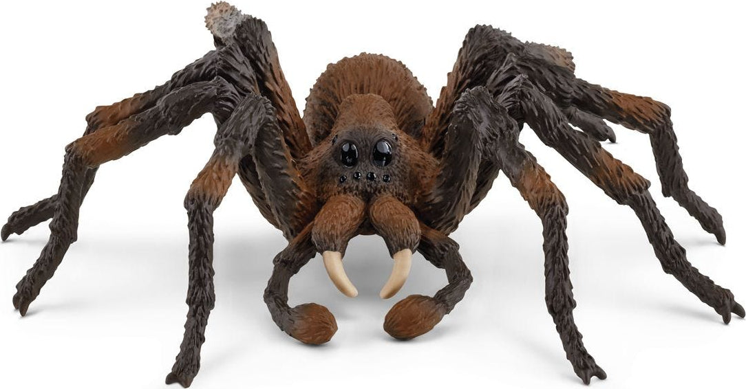 Aragog