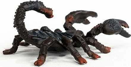 Wild Life Emperor Scorpion