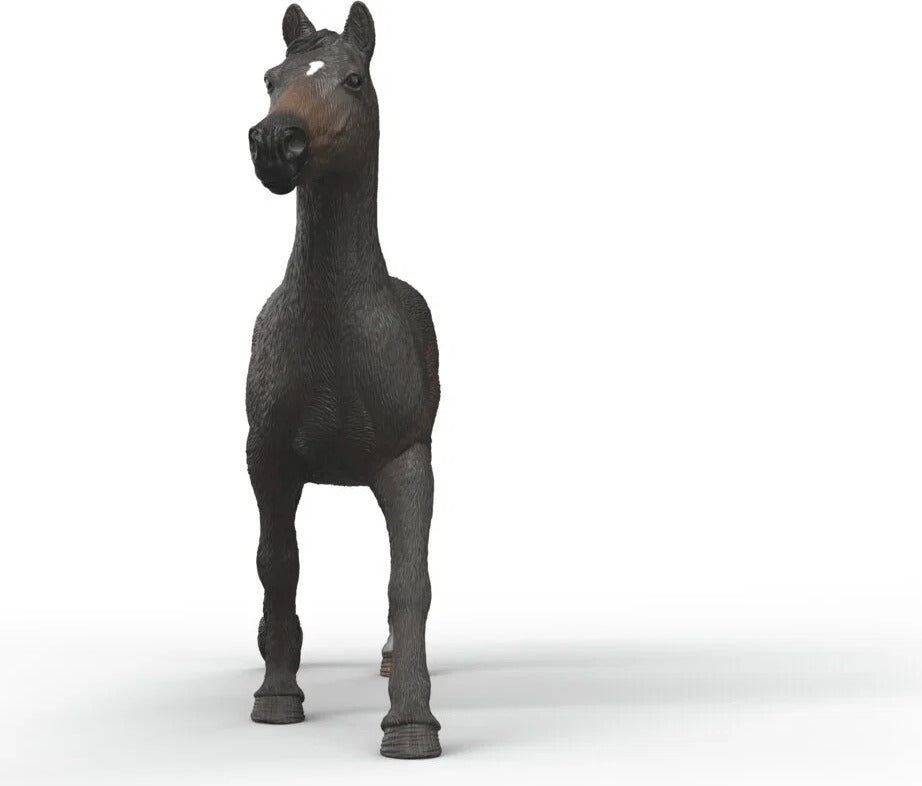 English Throrougbred Mare