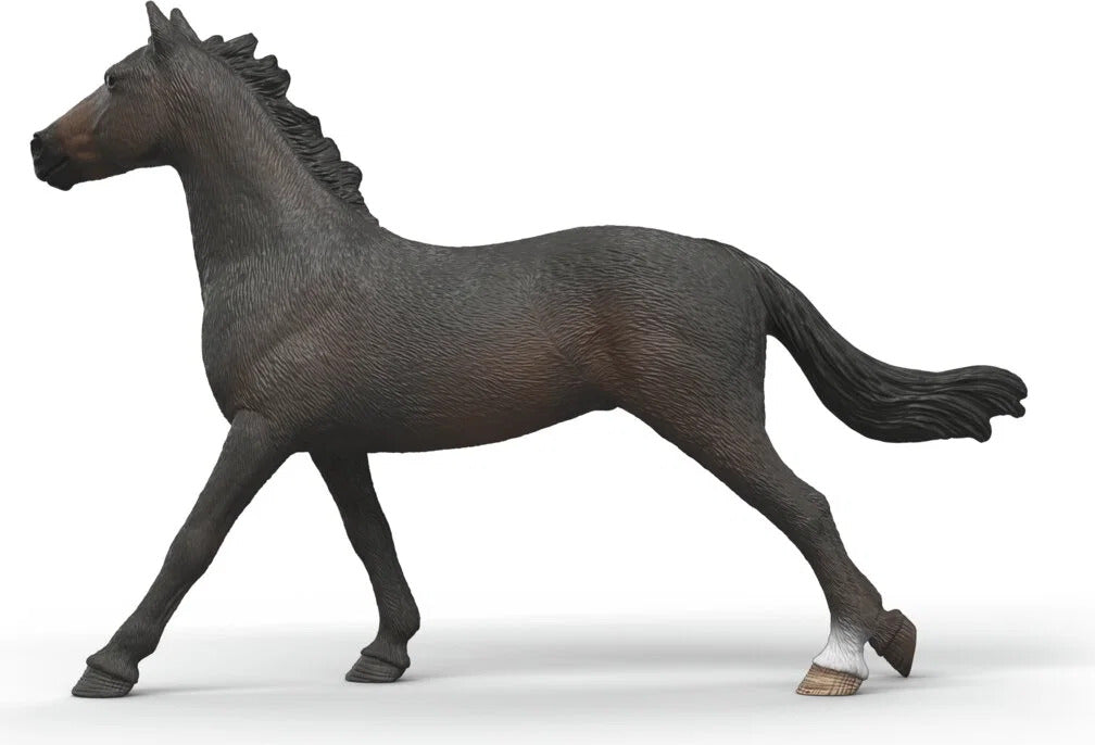 English Throrougbred Mare