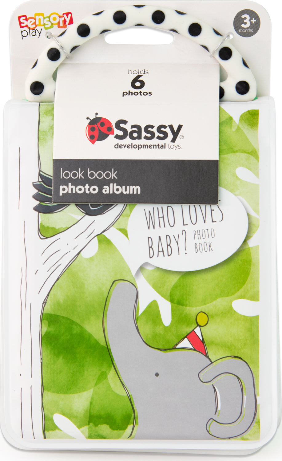 Sassy Look Photo Book