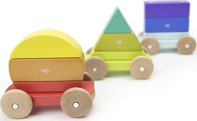 Magnetic Shape Train