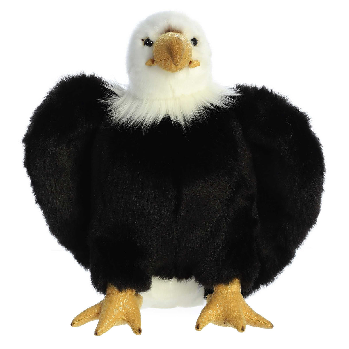 Regal Eagle 10.5in