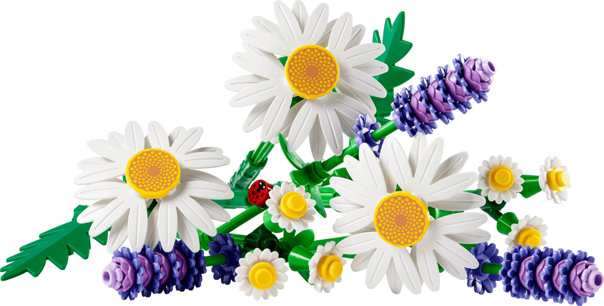 LEGO Botanicals: Daisies