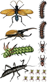 Creepy, Crawly Tattoo Bugs: 60 Temporary Tattoos That Teach