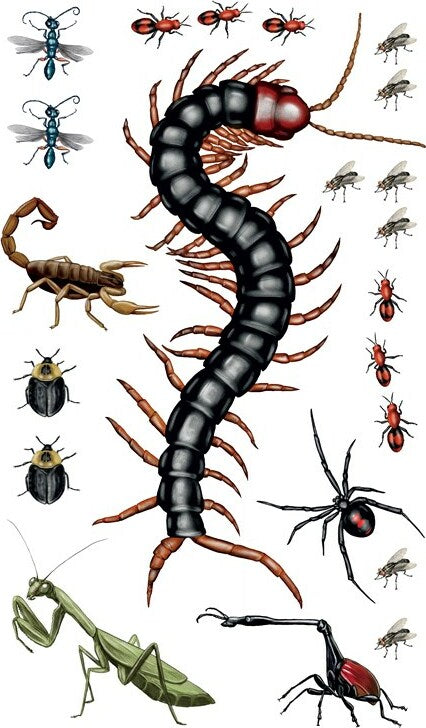 Creepy, Crawly Tattoo Bugs: 60 Temporary Tattoos That Teach