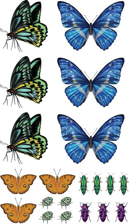 Fluttery, Friendly Tattoo Butterflies and Other Insects: 81 Temporary Tattoos That Teach