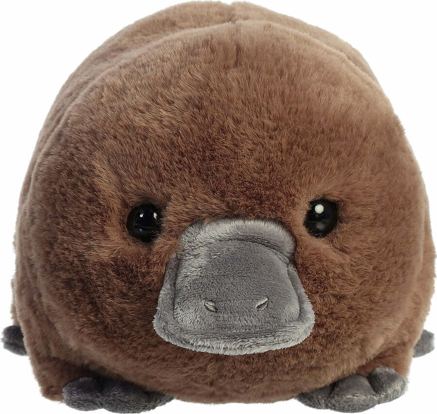 Aurora Spudsters™ - 10" Pongo Platypus