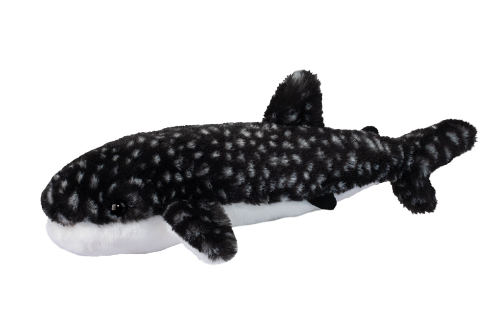 Barnacle Whale Shark