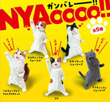 Nyaooo! Power Cats Blind Box (assorted)