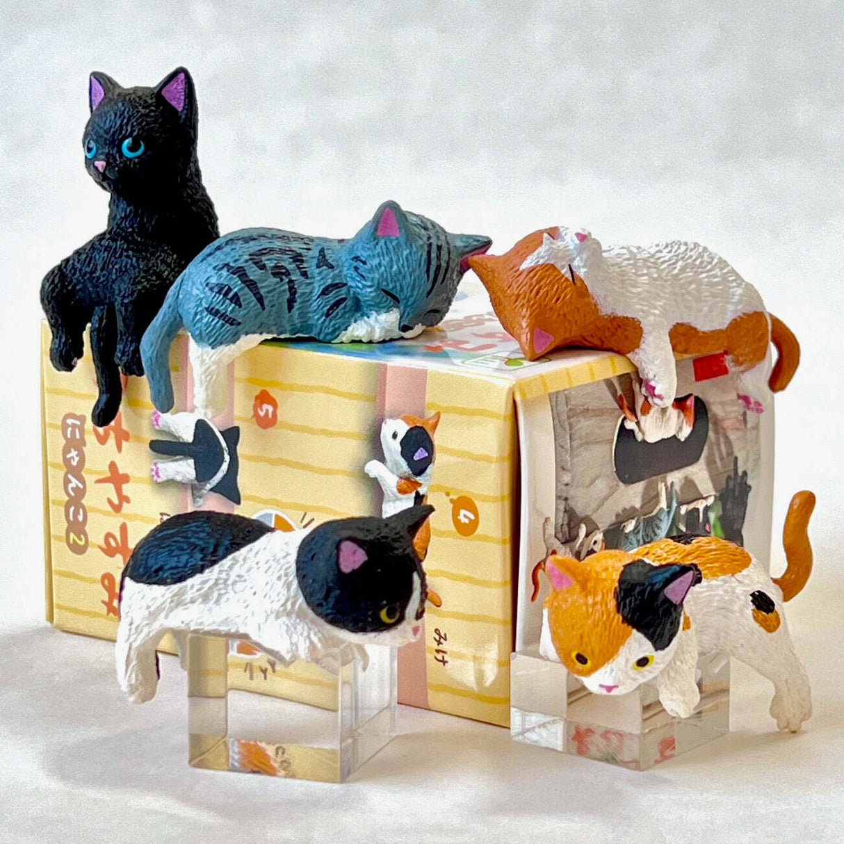 Resting Cats Blind Box (assorted)