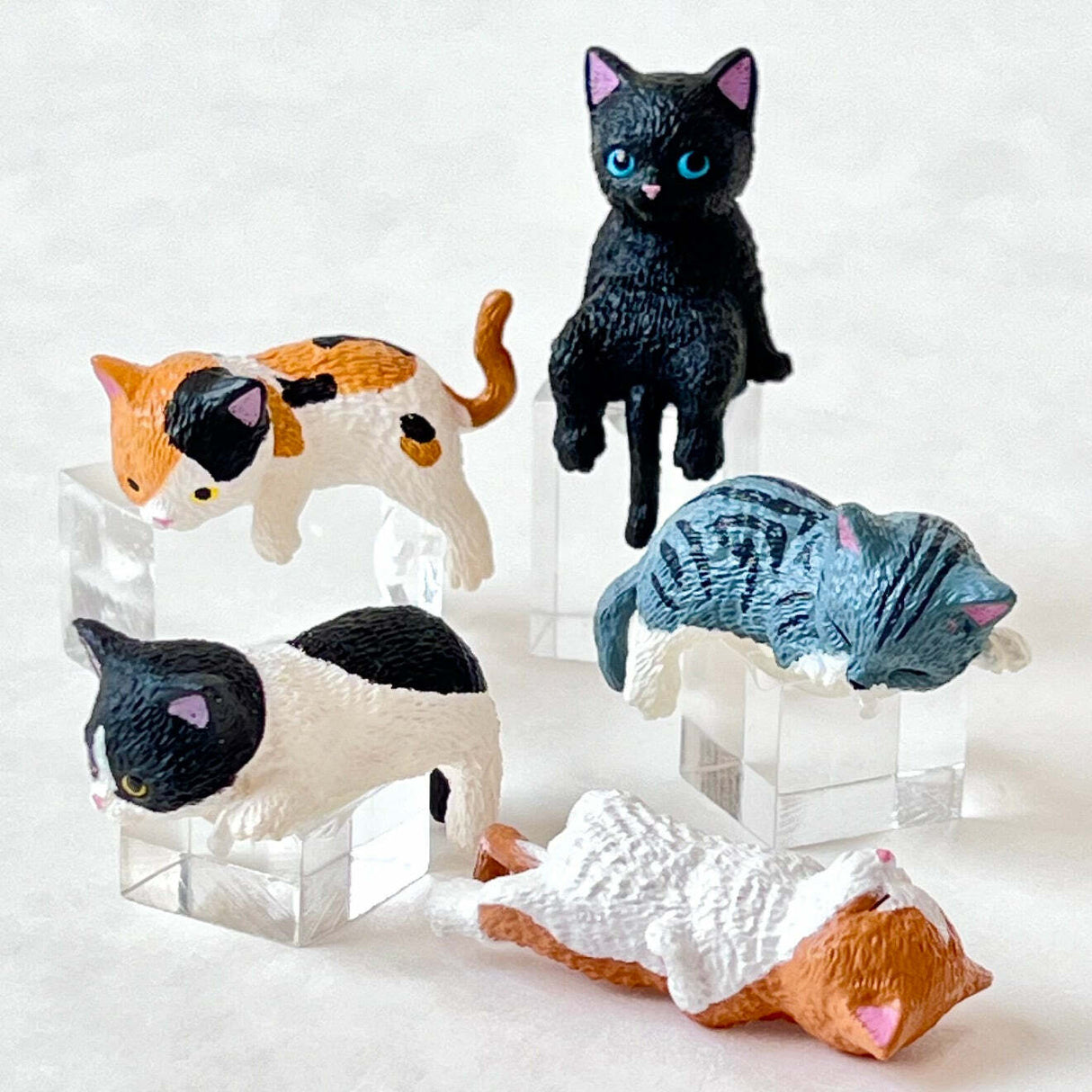 Resting Cats Blind Box (assorted)