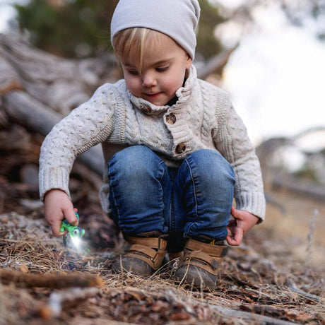 Turtle WildLight (Green)