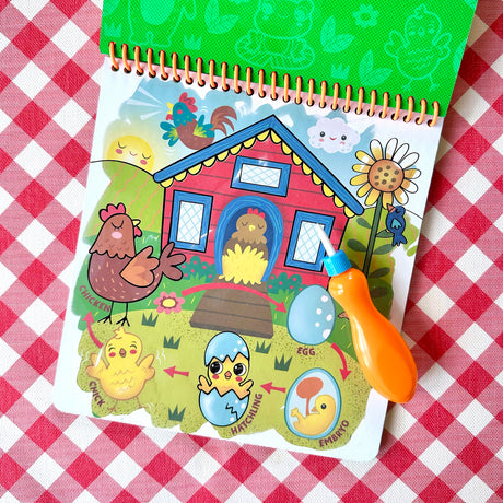 Splash-Tastic Life Cycles