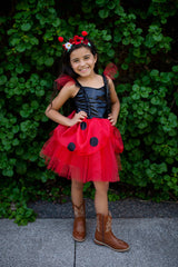 Ladybug Dress & Headband, Red/Black (Size 5-6)