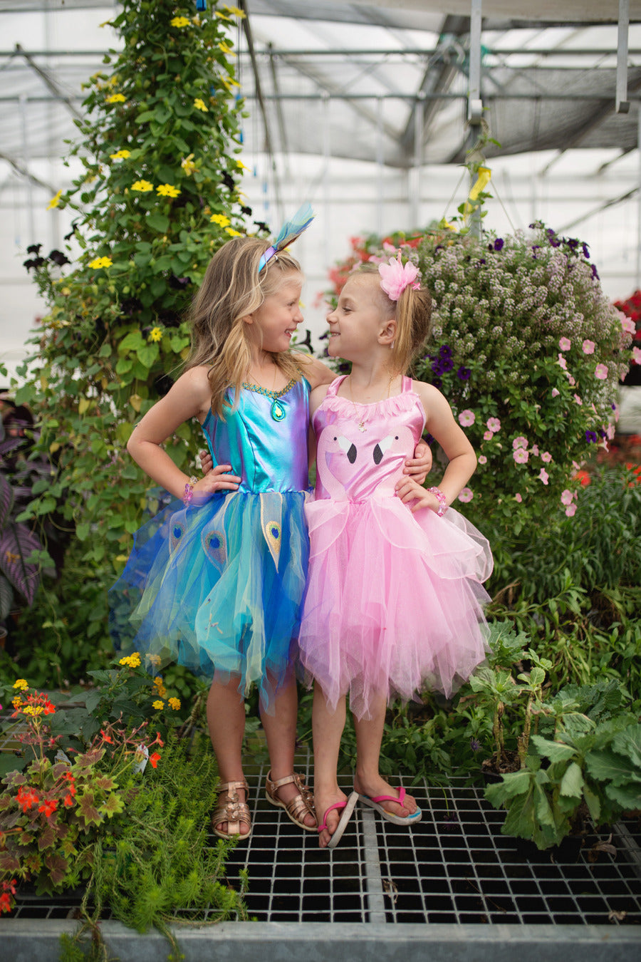 Pretty Peacock Dress  Headband