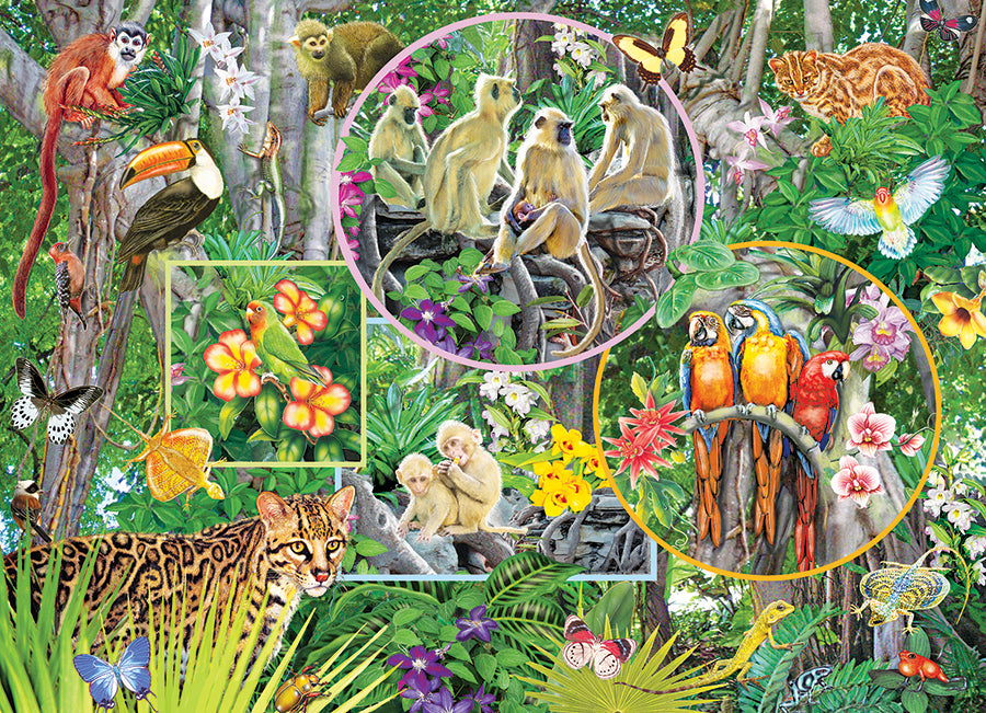 Rainforest Magic - family puzzle (350 pc)
