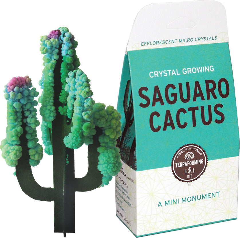 Crystal Growing Saguaro Cactus