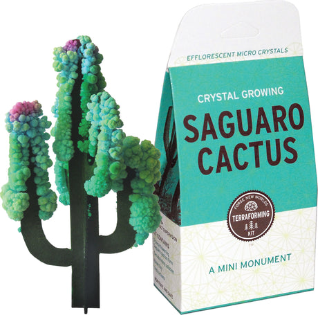 Crystal Growing Saguaro Cactus