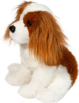 Kingsley Cavalier King Charles Spaniel