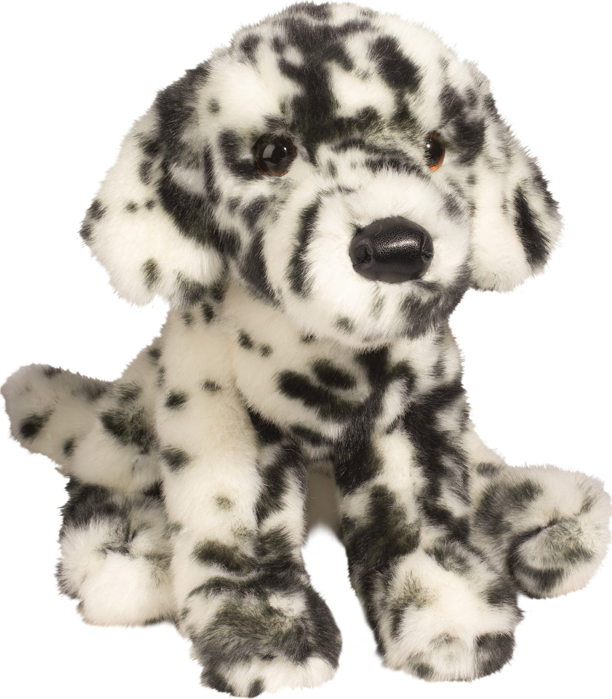 Mackay Dalmatian Floppy