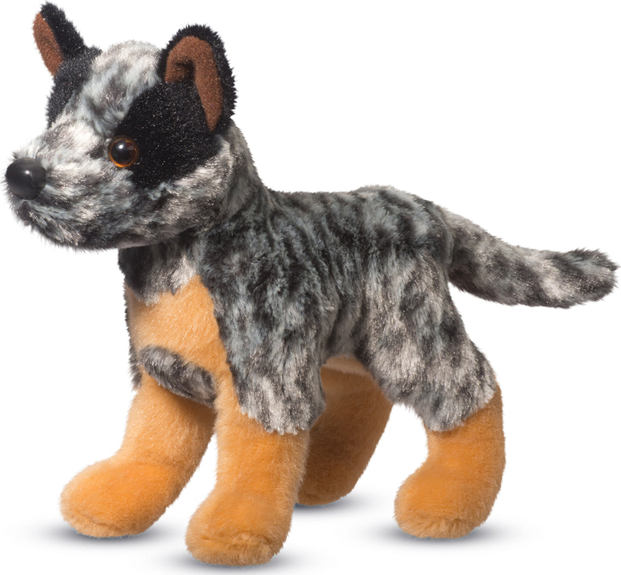 Clangr Aus Cattle Dog